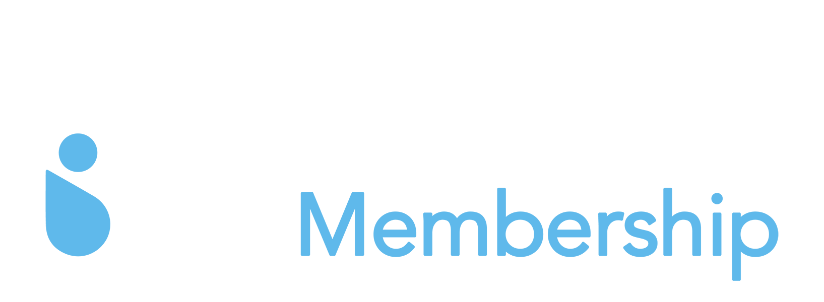 Neon-Mem-LT Neon-Mem-LT