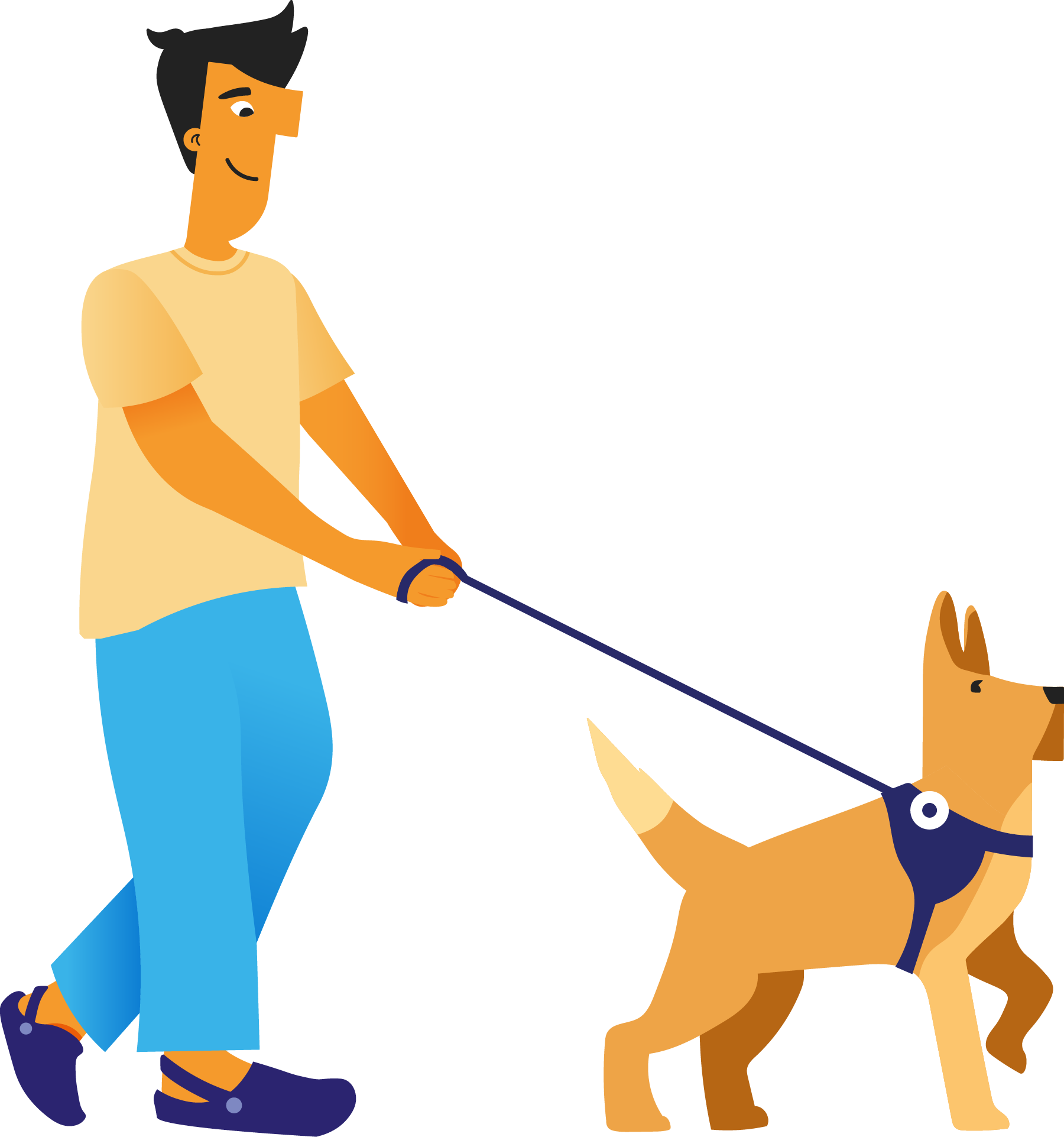 Ace walks Apollo